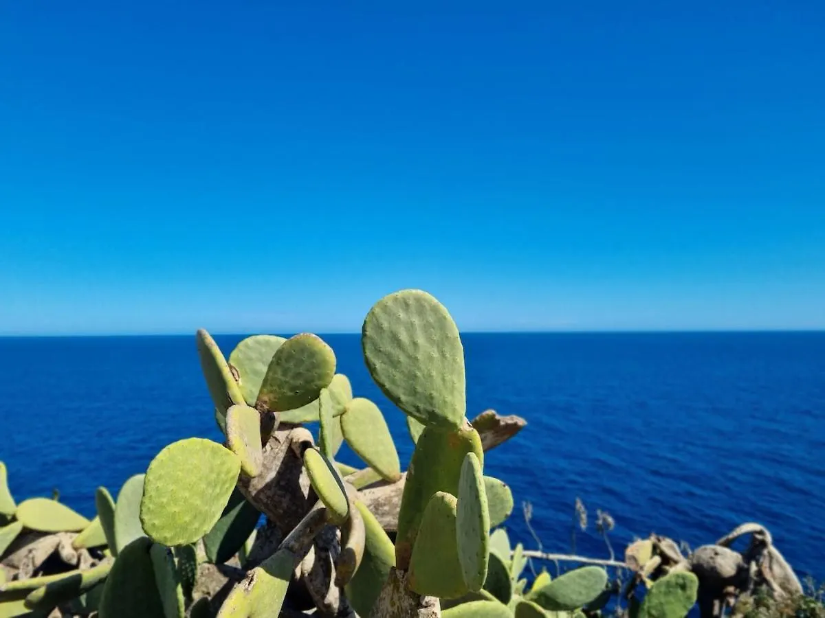 Casa Lesandar Ferienhaus Auf Mallorca Felanitx